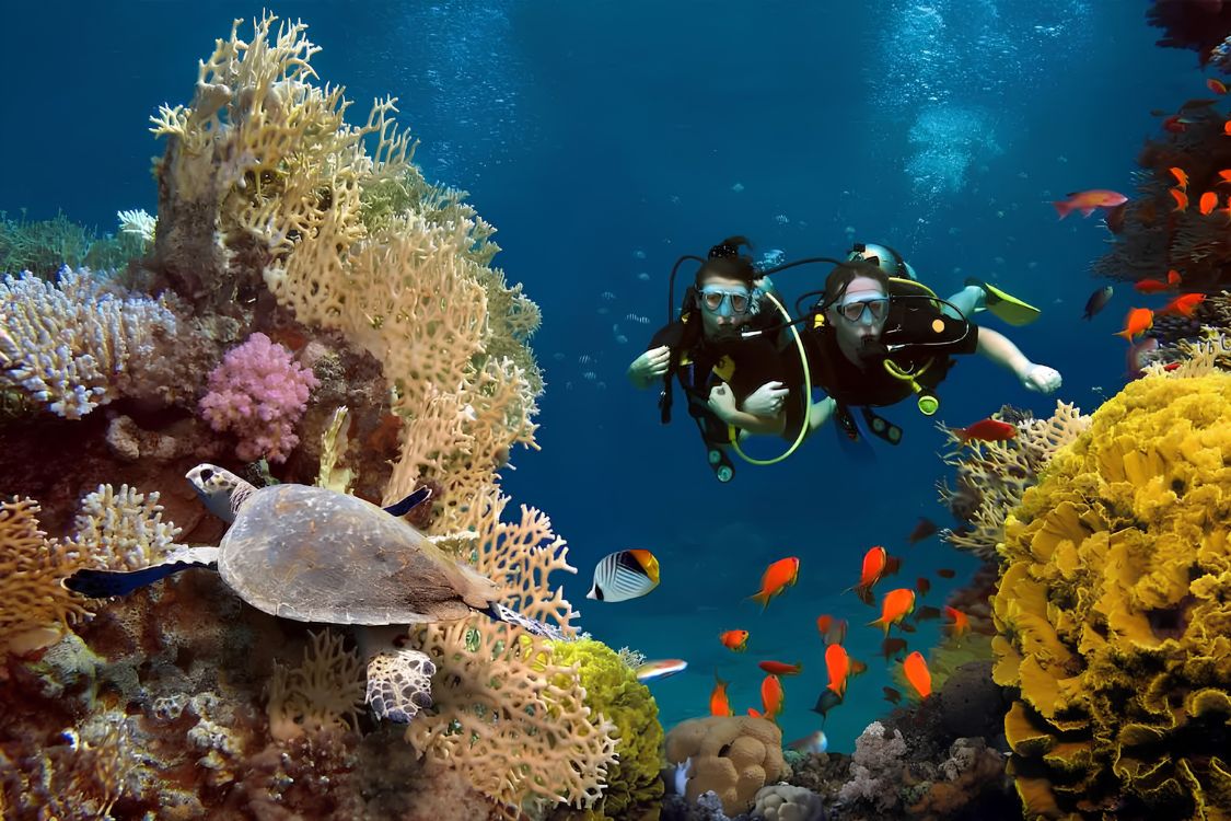 Paket 4 Hari 3 Malam - Manado Bunaken