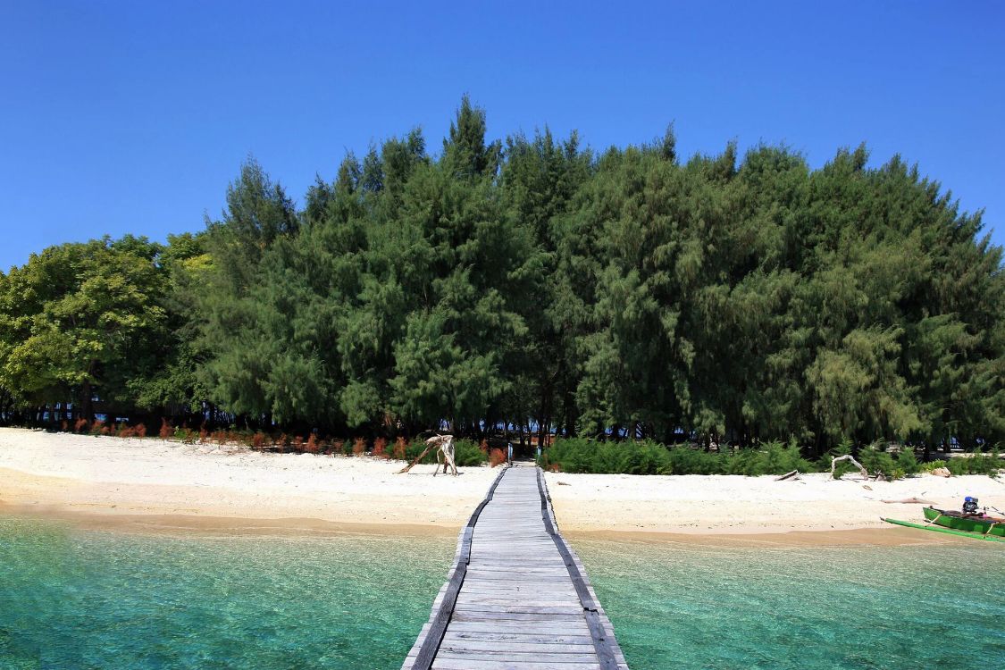 Jelajah Sulawesi